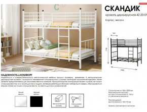 Кровать двухъярусная Скандик 42.20-01 в Снежинске - snezhinsk.mebel74.com | фото 2