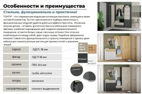 Прихожая Санти Белый/Дуб Крафт Золотой в Снежинске - snezhinsk.mebel74.com | фото 3