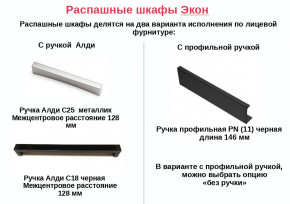 Шкаф для одежды с полками Экон ЭШ2-РП-23-4-R с зеркалом в Снежинске - snezhinsk.mebel74.com | фото 2