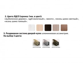 Шкаф-купе Акцент-Сим Д 1200-600 шимо тёмный в Снежинске - snezhinsk.mebel74.com | фото 3