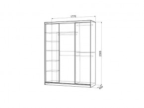 Шкаф-купе Бассо 2-600 с зеркалом венге/белый в Снежинске - snezhinsk.mebel74.com | фото 3