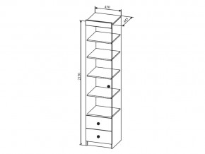 Шкаф Сканди ШД450.1 в Снежинске - snezhinsk.mebel74.com | фото 2