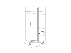 Шкаф угловой Дуглас модуль 1 в Снежинске - snezhinsk.mebel74.com | фото 2